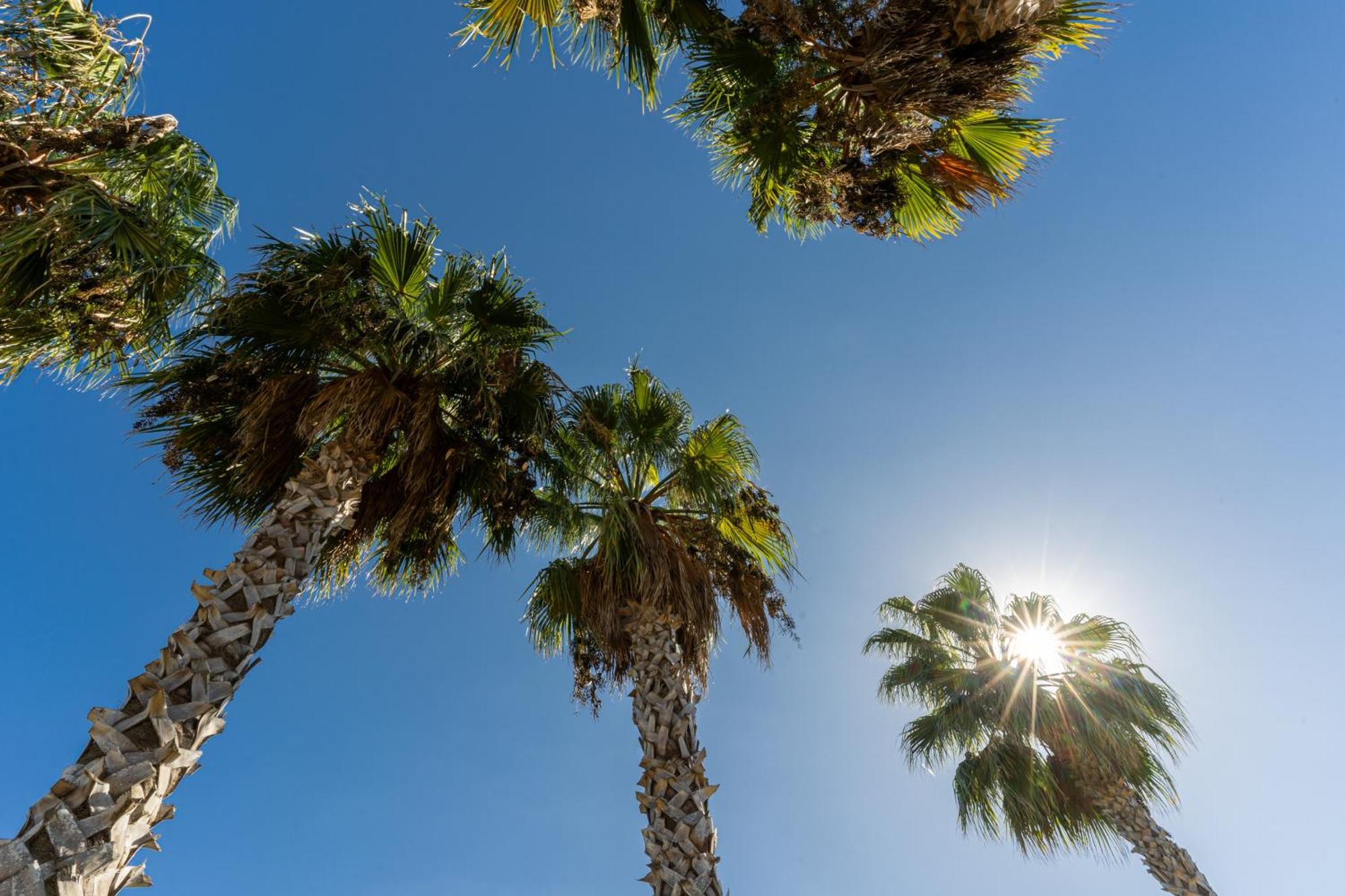 Hotel Masseria Le Pajare Presicce Bagian luar foto